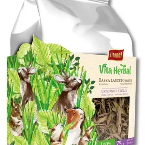 ribwort plantain (ZVP-4144) 75g